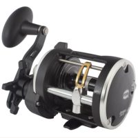alt="Penn Rival 20LW"