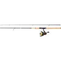 best multiplier reel for boat fishing PENN Warfare Star Drag Saltwater or Kayak Fishing: Buy Online at Price in UAE 7 Best Baitcasting Reels quiver 4.5 Color:Blizzard