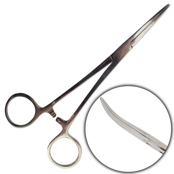 Allcock Curved Forceps 6"