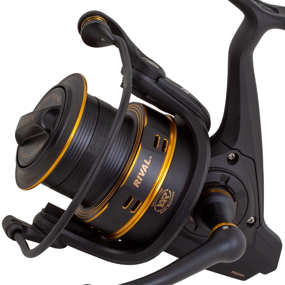 Penn Rival LC 7000 Gold | Il Maestrale Pesca