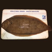 VMO Match Measure Sticker - Image 3