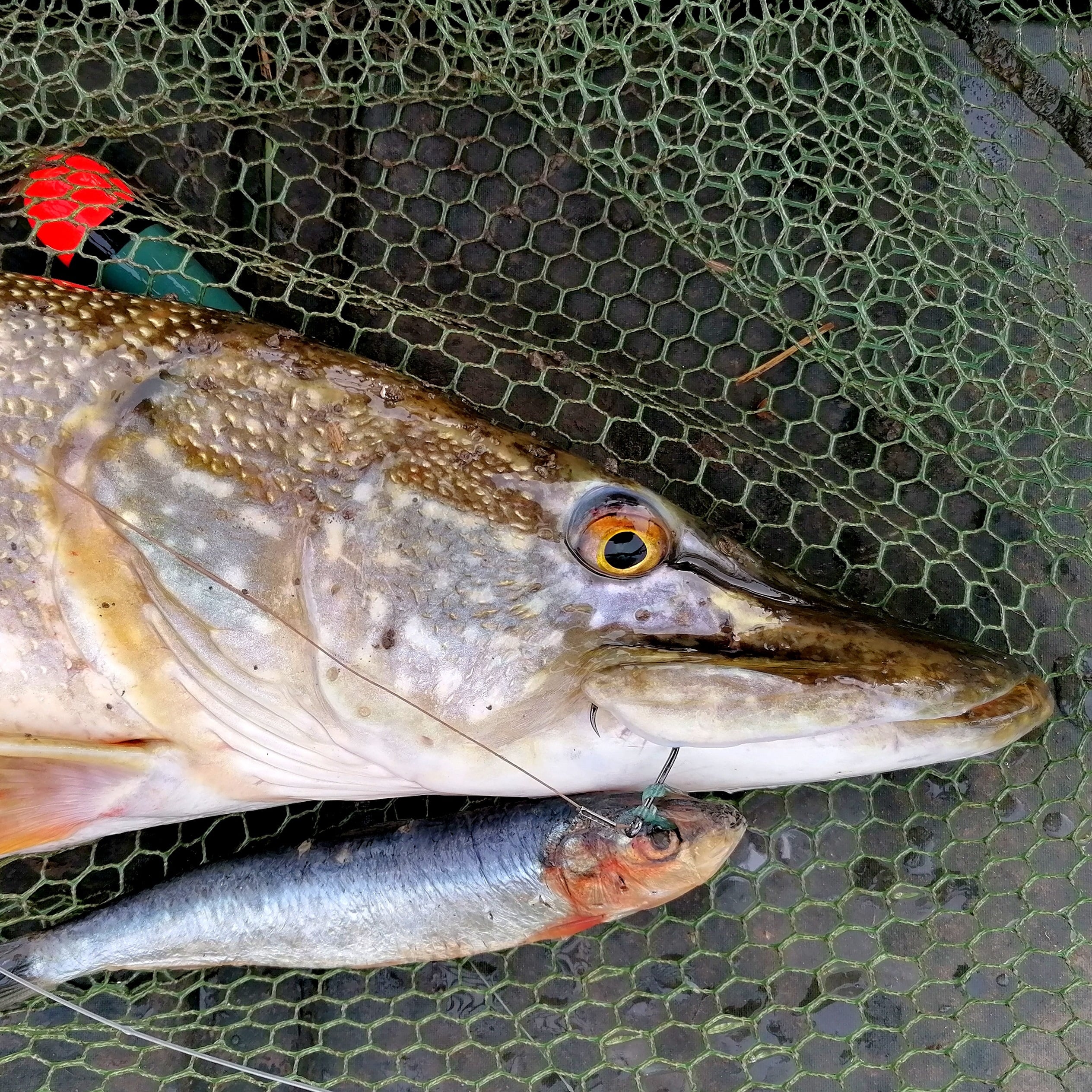best reel for beach fishing Types of Fishing Reels and How to Choose The Right Fishing Reel