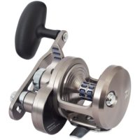 Daiwa 20 Saltiga LD 20H
