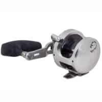 Shimano Ocea Jigger 2001 NR PG - Veals Mail Order
