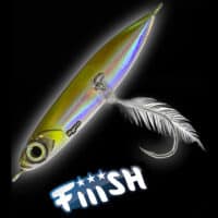 Fiiish Hypno Cast Jigs