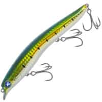 BlueBlue Scarnash 140F - Veals Mail Order