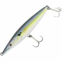 Xorus Asturie 110 - Image 9