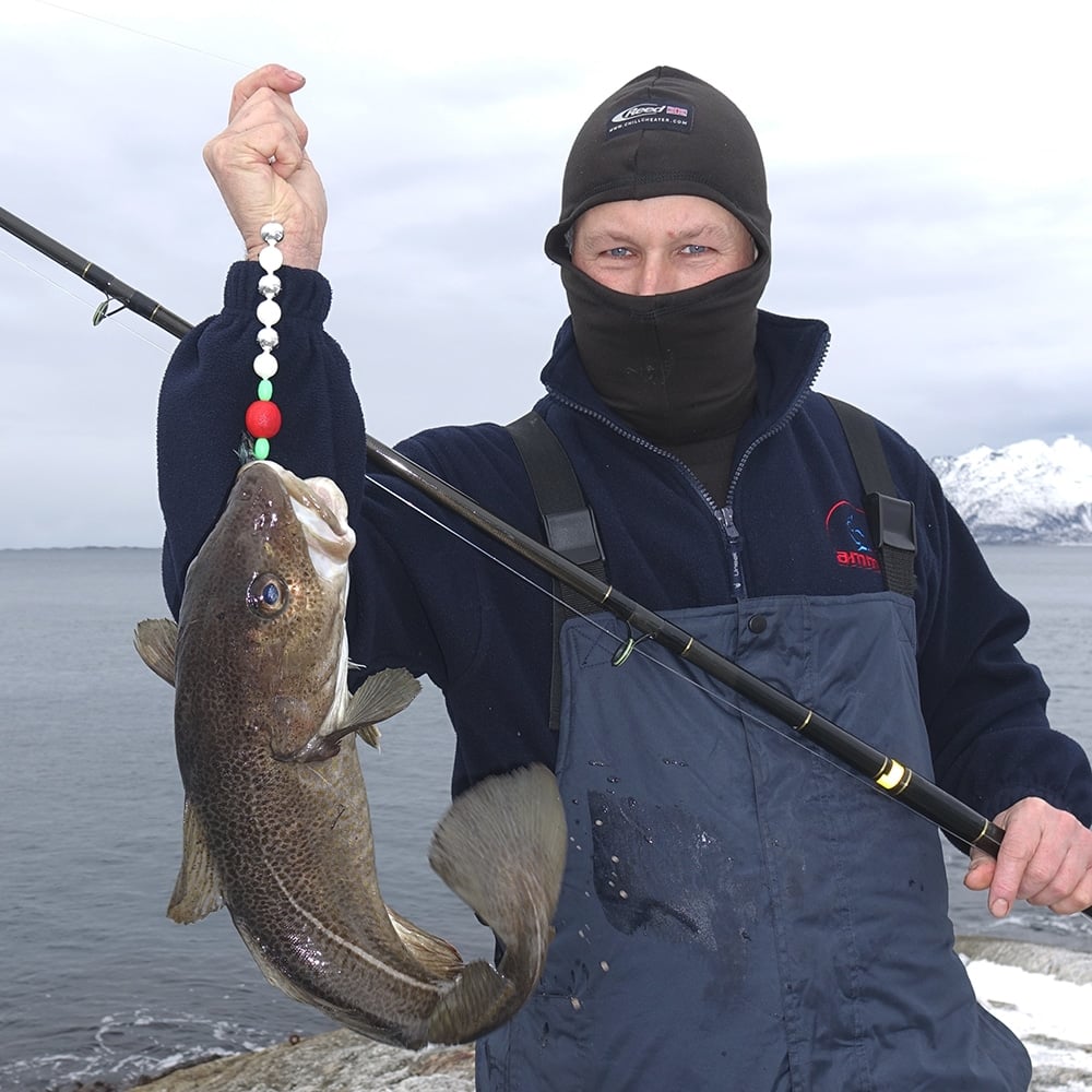 cod fishing pole Cape Special Jigging Rods - 80g 510B Conventional Rod / 5'10" / 80 Catch Cod Cod Rod Giant