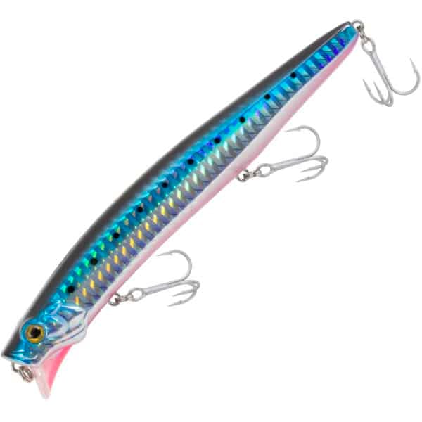 FishZone Konichi Shibui