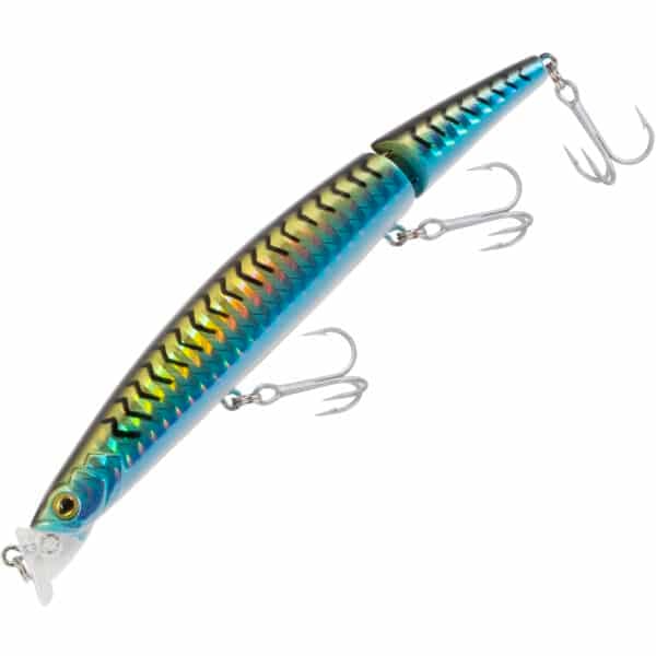 FishZone Konichi Miyagi