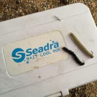 Seadra Bait Cool Box 8L - Image 9