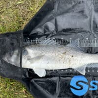 Seadra Weigh and Measure Sling - Specimen 120cm - Image 4