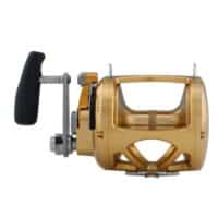 Penn International 80VISW Gold Veals Mail Order