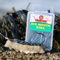 Varivas Big Mouth XTRA - Box