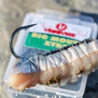 Varivas Big Mouth XTRA - Box - Image 5