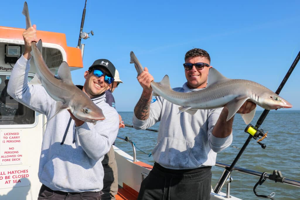 two men holding small sharks on a boat