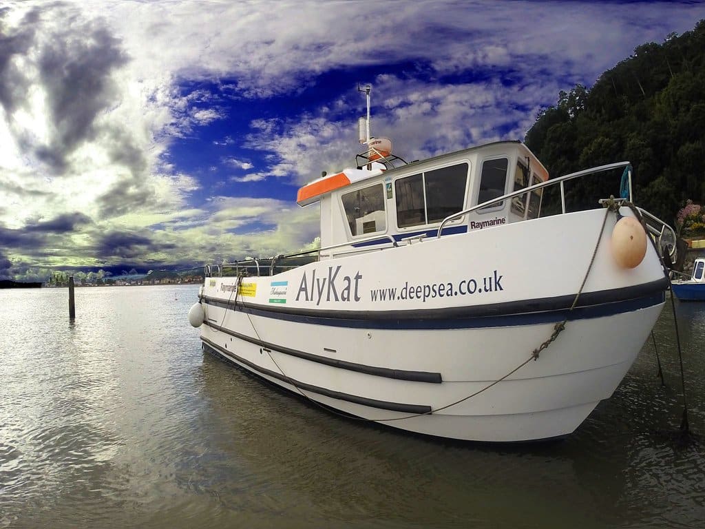 a boat at anchor in a harbour