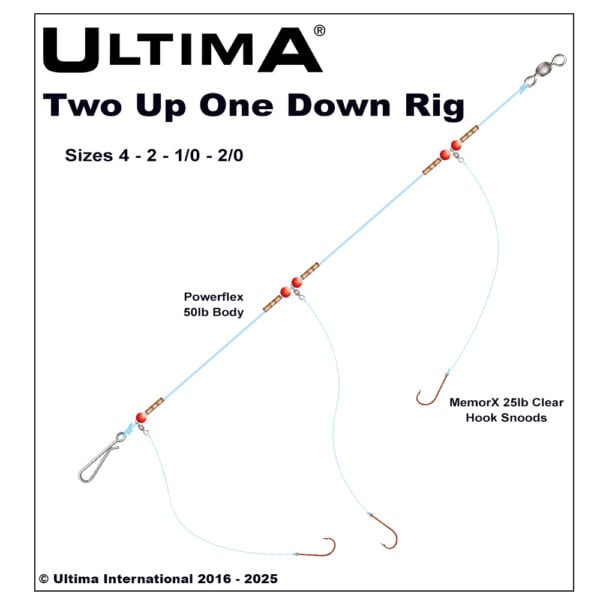 Ultima 2 Up 1 Down Rig