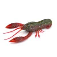Nikko Craw 3.2" - Image 11