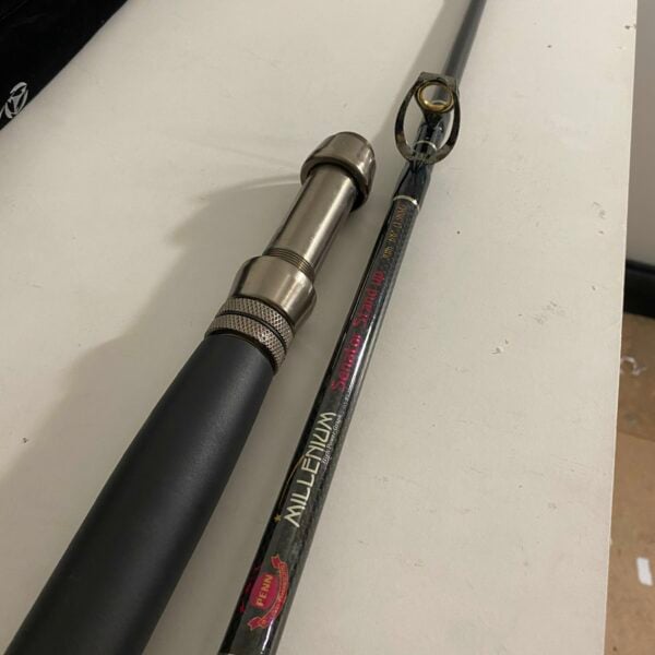 ペン　MILLENIUM Senator　30lb Penn Millennium Senator Stand Up Boat Rod 6'6