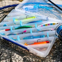 Seadra Double Sided Diagonal Large Lure Box - Image 5