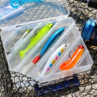 Seadra Double Sided Diagonal Small Lure Box - Image 7