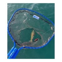 Seadra Landing Net - Image 2