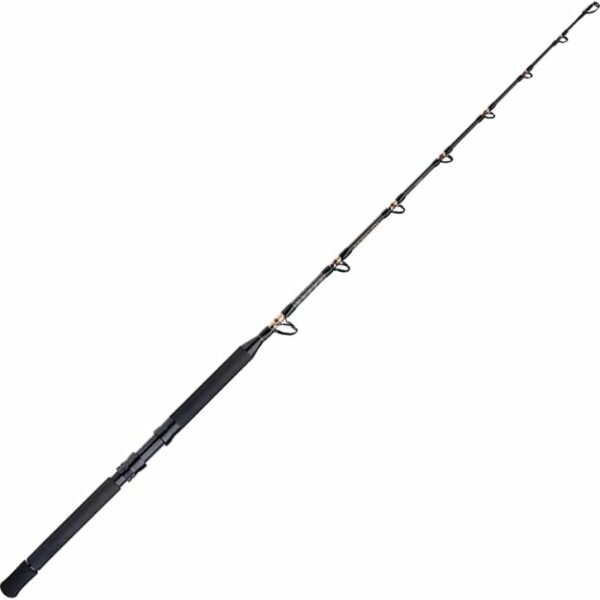 Shimano TLD B Stand-Up 1.65m 80lb Rod