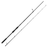 Penn Squadron IV Labrax 6'9" 10-30g