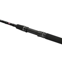 Penn Squadron IV Travel SW Spin 304 20-80g - Image 2