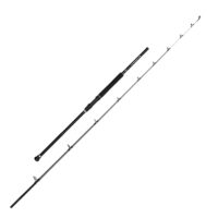 Penn Squadron IV Uptide 9ft 6in Spin Penn Squadron IV Uptide 9ft 6in Spin + Penn 525 MAG4 Combo