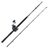 Penn Warfare II LW Boat Combo 20-30lb