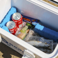 Seadra Bait Cool Box 18L - Image 2
