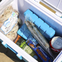 Seadra Bait Cool Box 8L - Image 3