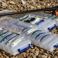 Seadra Hard Plastic Lure Collections - Image 4